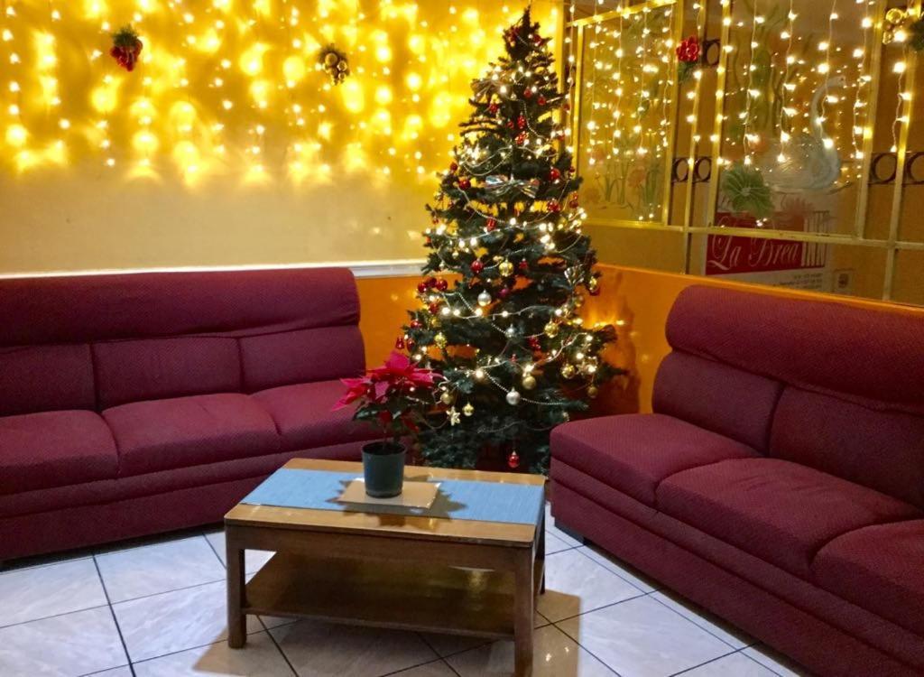 La Brea Inn Baguio City Εξωτερικό φωτογραφία